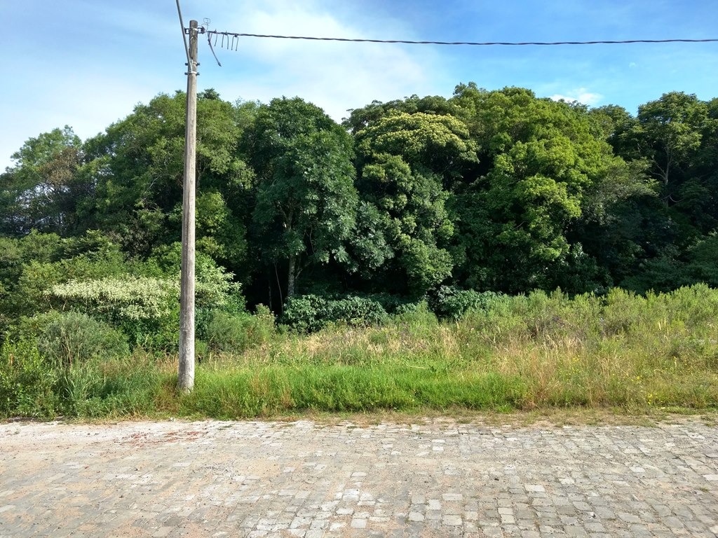 Imagem da propriedade CN1747 5