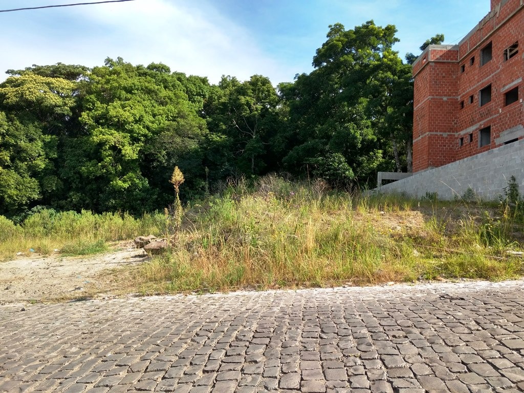 Imagem da propriedade CN1747 4