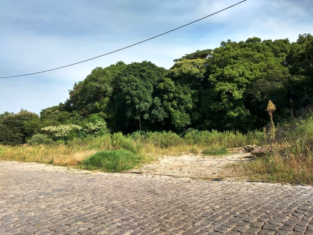 Imagem da propriedade CN1747 1