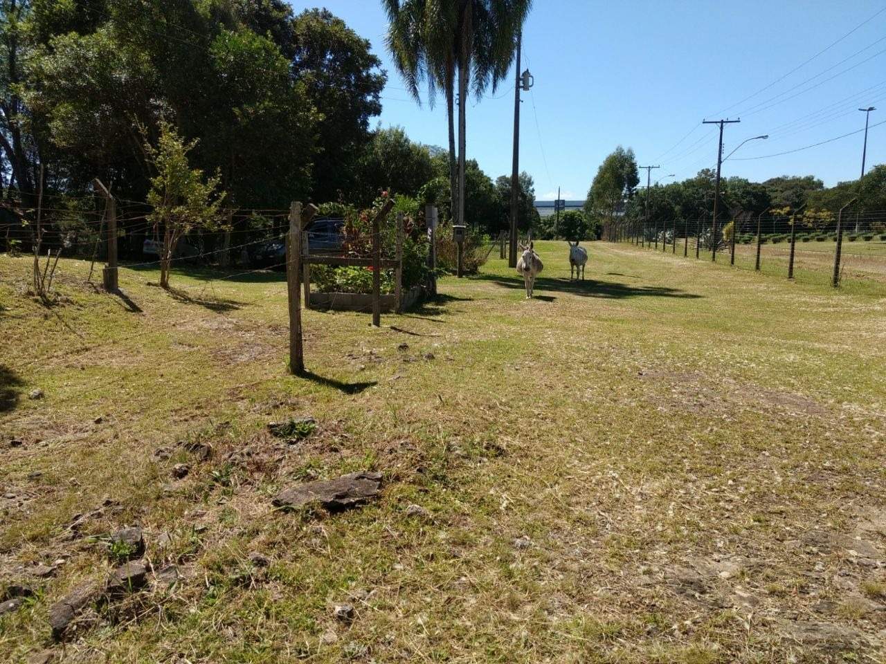 Imagem da propriedade CN2151 2