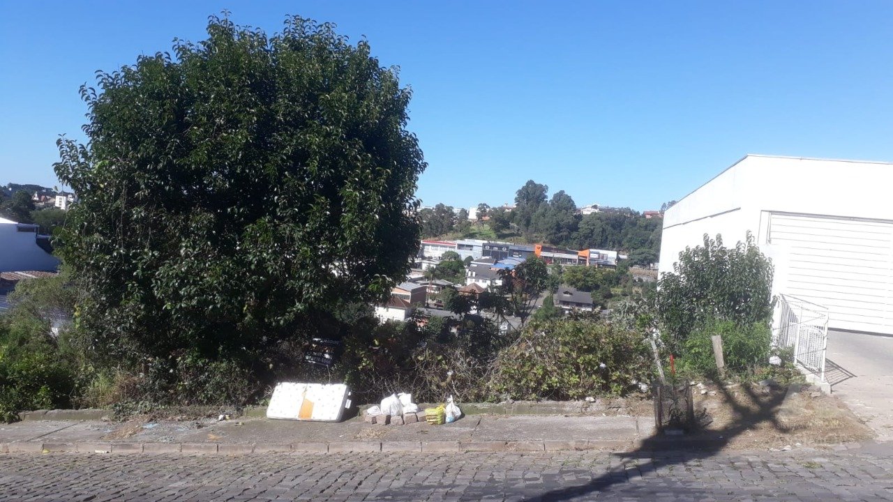 Imagem da propriedade CN5361 2
