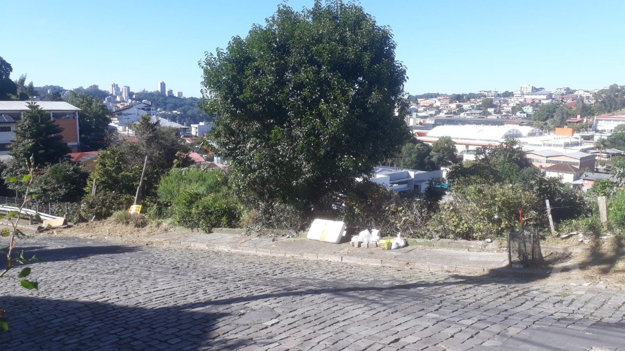 Imagem da propriedade CN5361 1