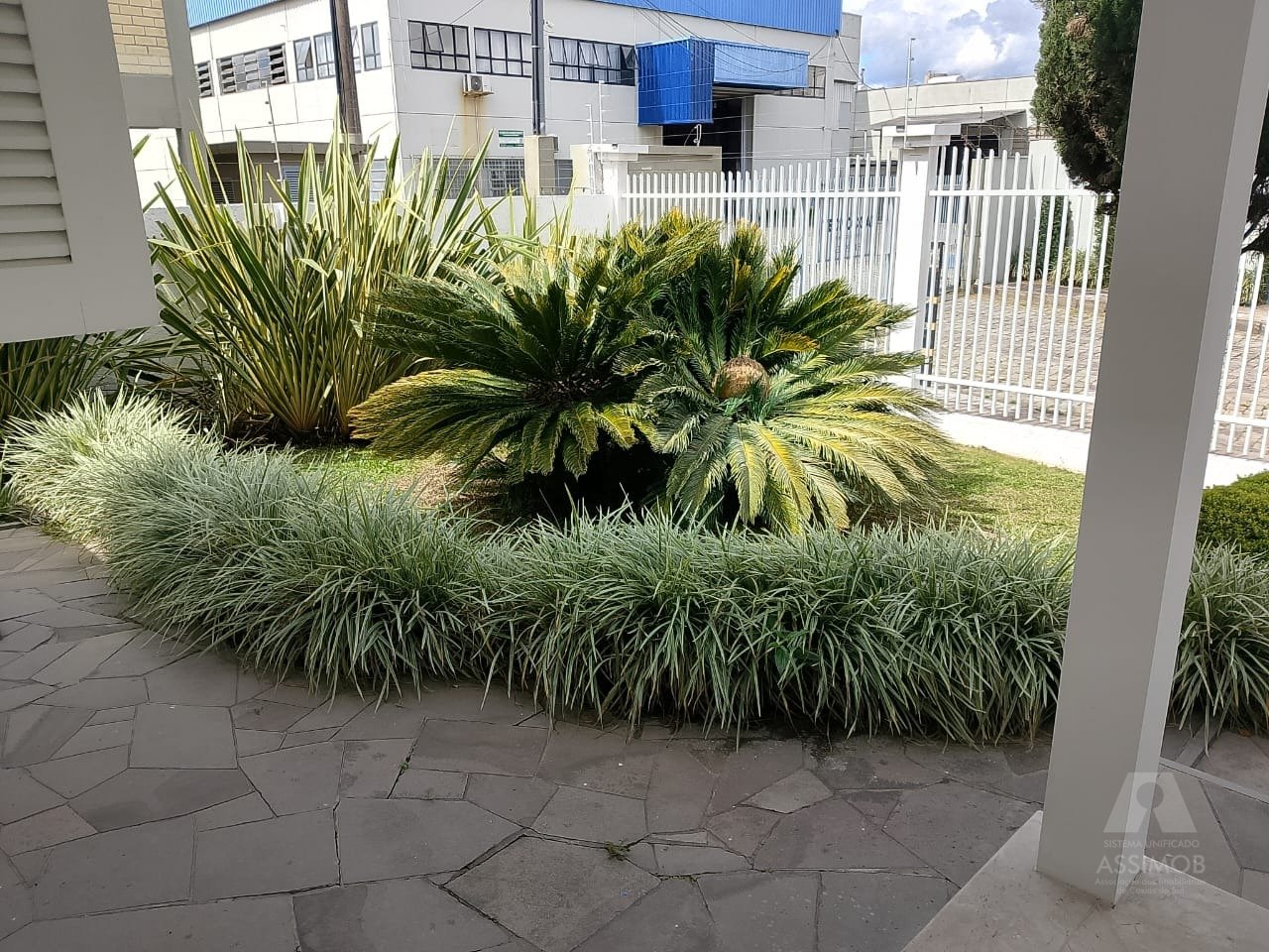 Imagem da propriedade CN6265 4