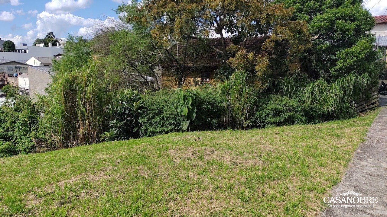 Imagem da propriedade CN5258 7